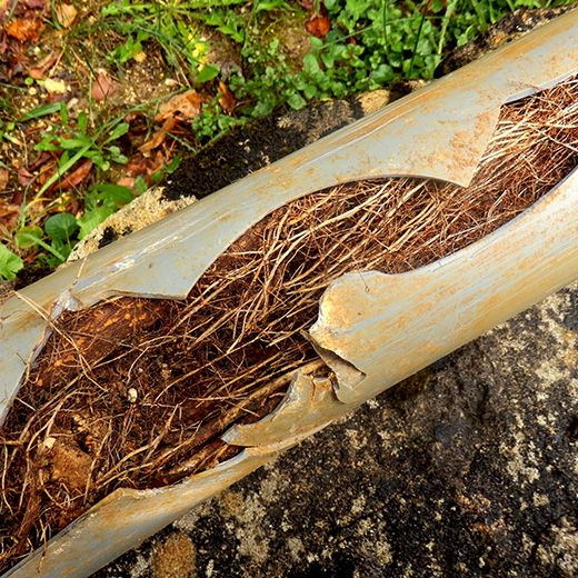 Same Day Drain Sewer & Rooter Pros Across Merrimack